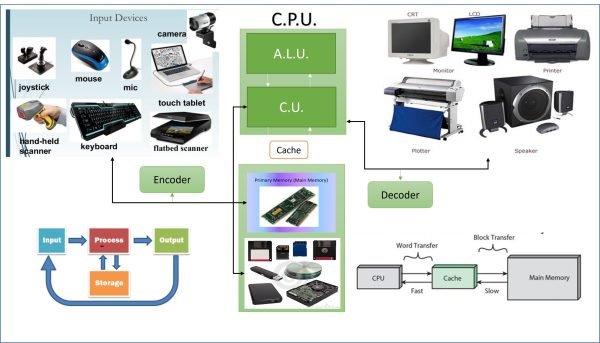 Computer Basic Expert - Image 2
